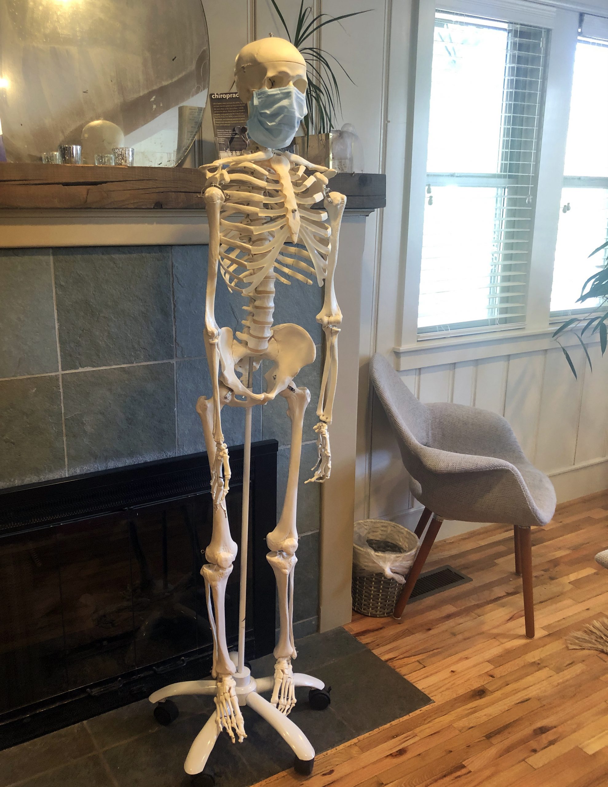 The Bend Chiropractic at Whitefish